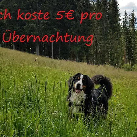 Ferienwohnung Borner Lägenhet